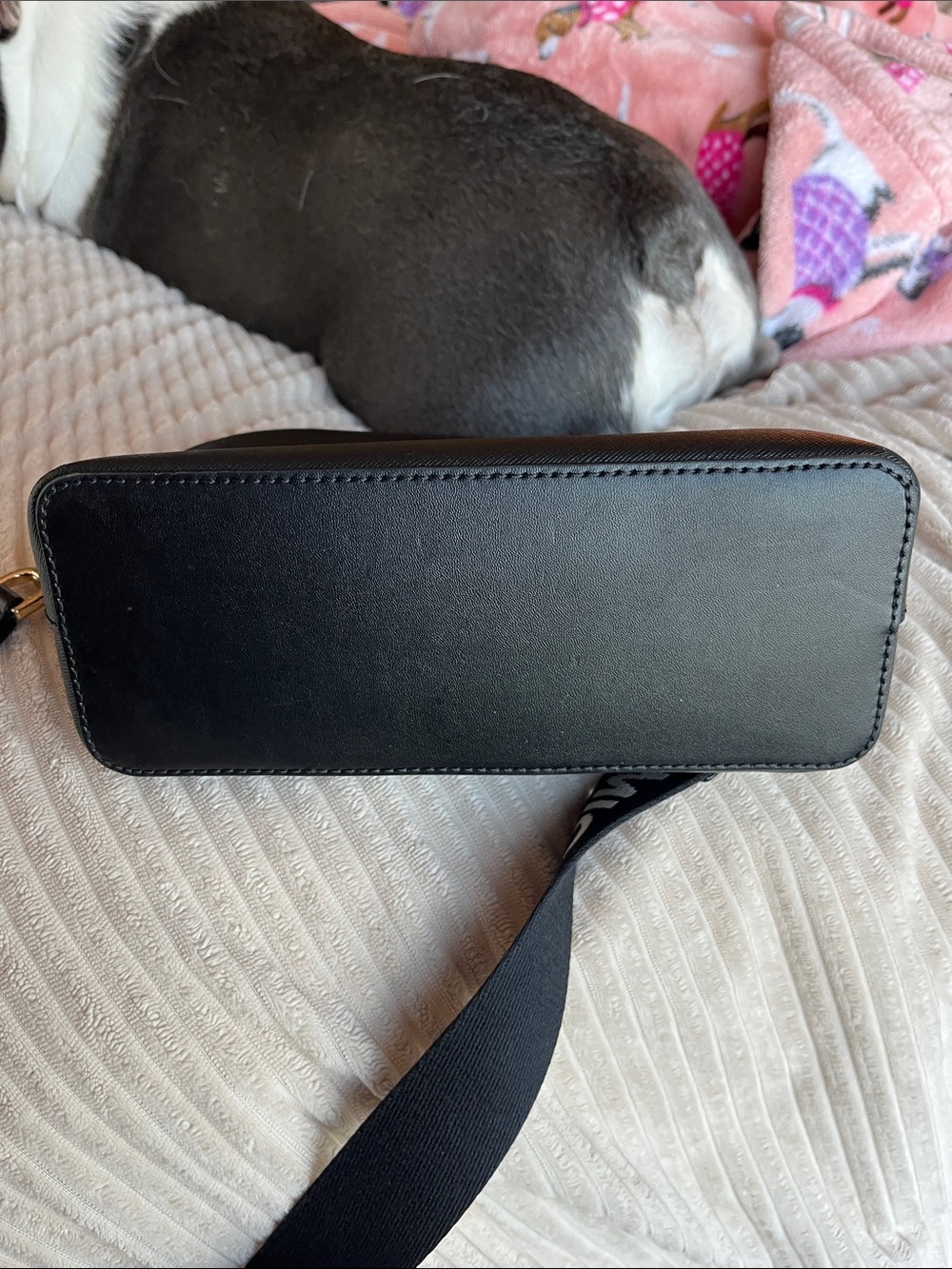 Michael Kors Black Crossbody Camera Bag with Logo Webbing Strap - Picture 2 of 5